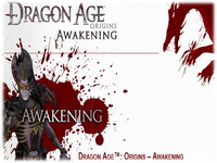 Dragon Age: Origins - Awakening 