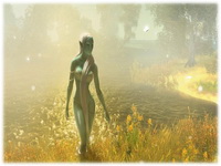 Drakensang: The River of Time