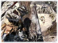 Календарь PC игр на ноябрь