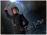 Harry Potter and the Deathly Hallows: Part 2 