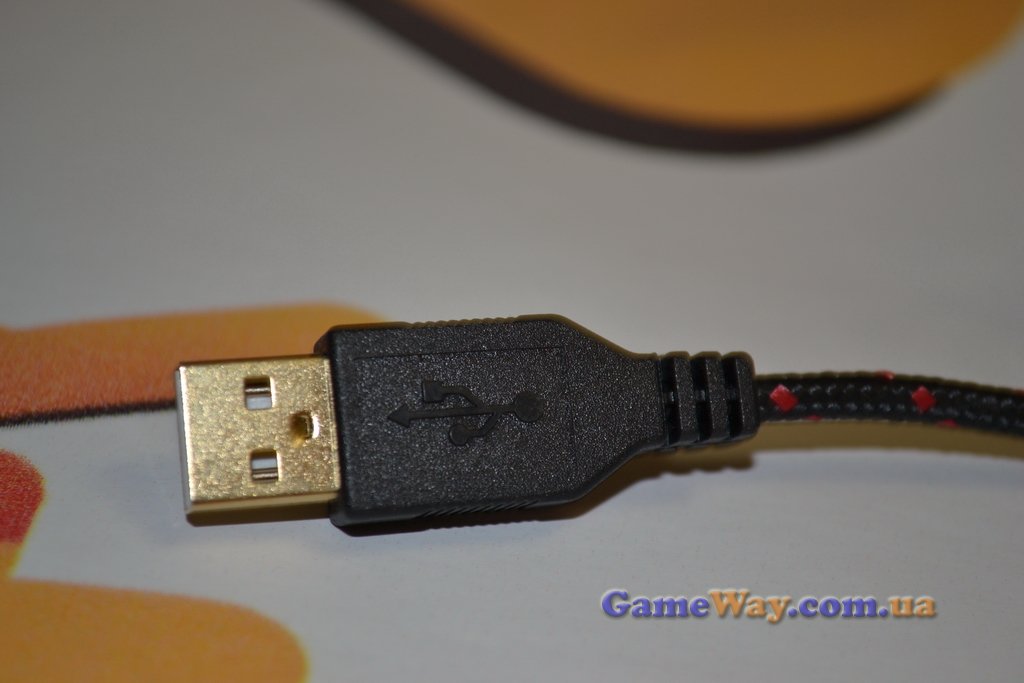 SteelSeries Diablo 3 mouse - обзор от GameWay